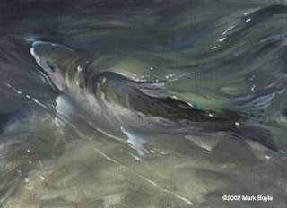 Mark Boyle's Steelhead Painting